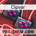 Cipvar 01